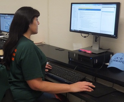 Analyst sitting at a computer.